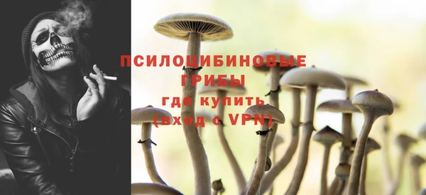 спайс Алексин
