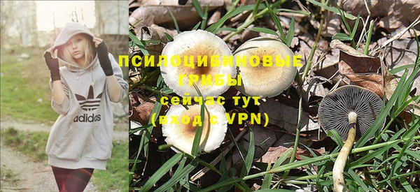 a pvp Алексеевка