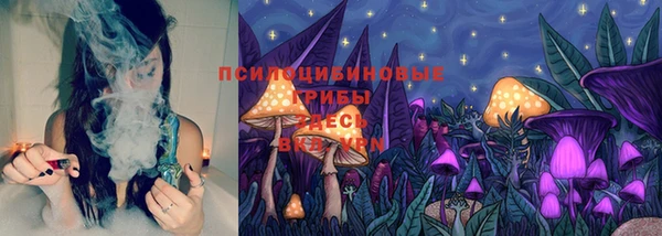 спайс Алексин