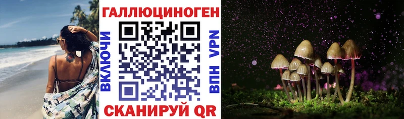как найти закладки  Татарск  Псилоцибиновые грибы Psilocybe 
